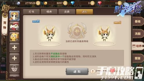 DNF玩家必看：探索最炫龙宠，哪一款才是你的颜值担当？