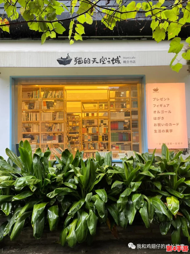 探索《猫之城》抽卡机制:揭秘保底抽数,助你高效集结梦幻猫咪阵容! 探索《猫之城》抽卡机制:揭秘保底抽数,助你高效集结梦幻猫咪阵容!