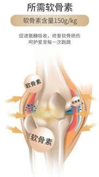 糖心vIong柚子猫：绝美设计，清新可爱，让人忍不住想要拥有