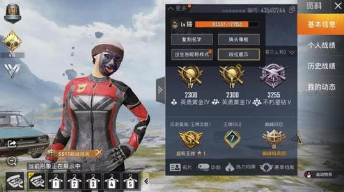 和平精英：精选稀有单字ID集，彰显个性战场风采