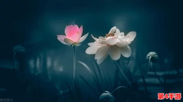 久色悠悠,网友称其为“时光的味道”,让人沉醉于岁月流转中的温暖与回忆 久色悠悠,网友称其为“时光的味道”,让人沉醉于岁月流转中的温暖与回忆