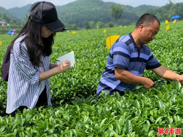 一小孩和妈妈在田野里快乐地摘萝卜(黄)，幸福的画面让人感到温馨愉悦