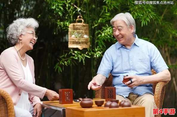 中国老年人BBWBBwBBw：探讨他们的生活方式与时代变迁下的独特魅力与挑战