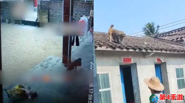 二人生猴子全程不盖被子图片大全，网友热评：搞笑又温馨的瞬间