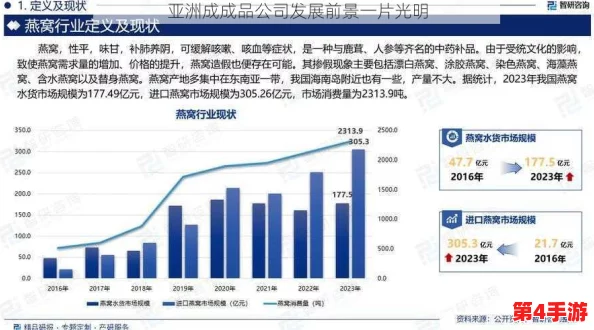 亚洲成成品公司发展前景：数字化转型与可持续发展的新机遇分析