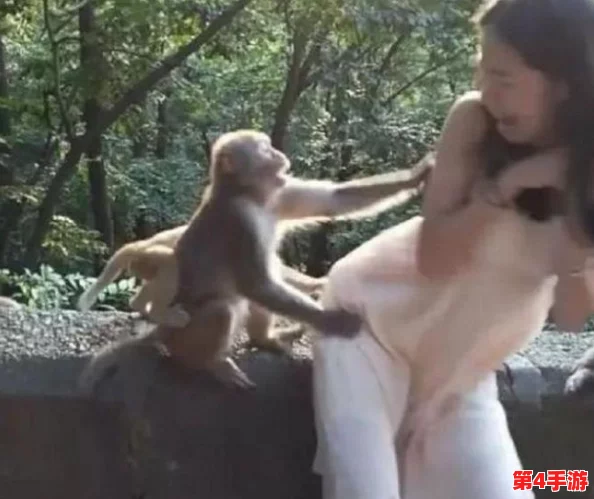 两人生猴子不盖被子在哪里看?这部电影真实展现了人与自然的和谐共处关系 两人生猴子不盖被子在哪里看?这部电影真实展现了人与自然的和谐共处关系