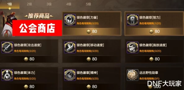 DNF手游攻略：高效解锁与强化公会勋章的全方位指南
