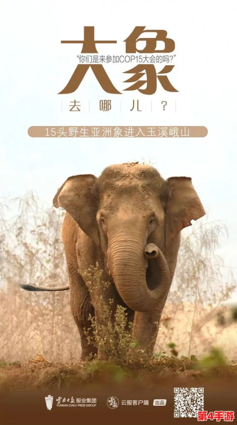 “大象回家永久不迷路2023:让每一只大象都能安心归家,勇敢探索无惧迷失” “大象回家永久不迷路2023:让每一只大象都能安心归家,勇敢探索无惧迷失”