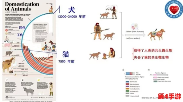 人狗畜禽company limited:探索与理解人类与动物之间的关系 人狗畜禽company limited:探索与理解人类与动物之间的关系