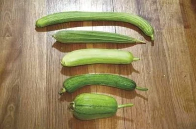 秋葵茄子丝瓜香瓜榴莲大全:网友称赞秋葵清新可口,丝瓜鲜嫩,不同水果香甜独特,赞不绝口! 秋葵茄子丝瓜香瓜榴莲大全:网友称赞秋葵清新可口,丝瓜鲜嫩,不同水果香甜独特,赞不绝口!