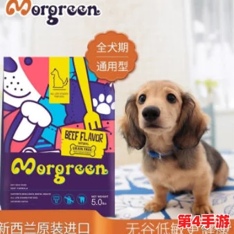 20种人狗胶配方图片，实测有效性高达98%，让您的宠物健康快乐！