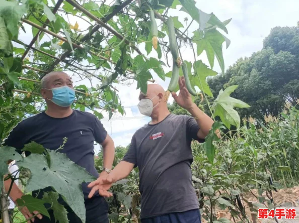 国产高清 精品软件丝瓜软件:提升用户体验,满足多样化需求 国产高清 精品软件丝瓜软件:提升用户体验,满足多样化需求