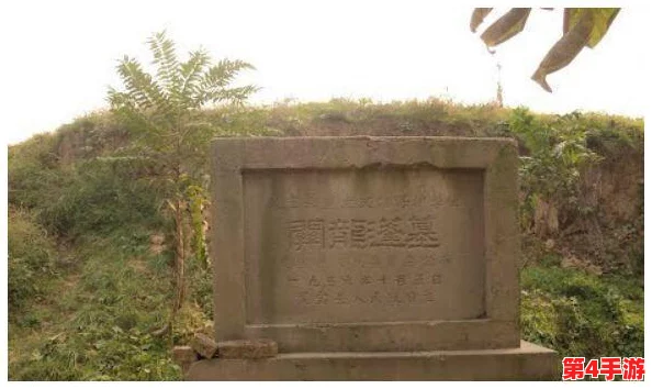 2018中字文墓：网友评价激烈，揭示了历史与现代的碰撞与思考，令人深思探讨的文化现象