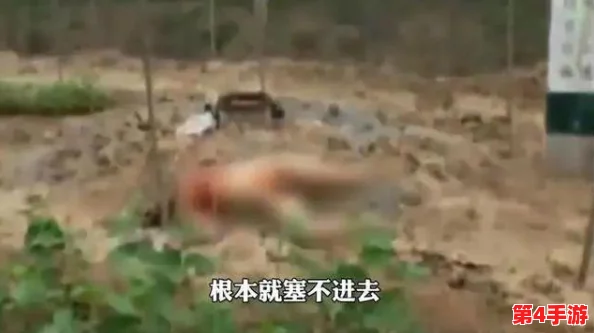 缅北活生生割下头颅网站:揭露残忍行径的重要性 缅北活生生割下头颅网站:揭露残忍行径的重要性