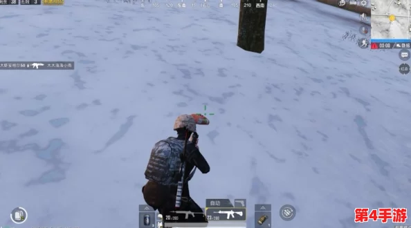 极寒挑战，绝地求生刺激战场新纪元：全方位解析极寒模式必备生存物资与策略指南
