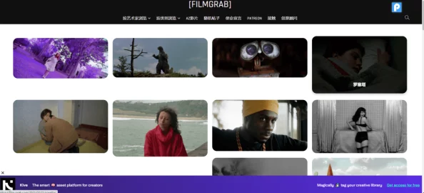 秘 蜜桃视频在线观看的趣味与挑战：深度剖析网络背后的娱乐现象