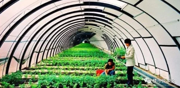 三角洲行动:实战策略下的战场支援技能高效运用指南 三角洲行动:实战策略下的战场支援技能高效运用指南