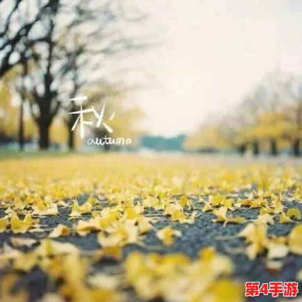 朦胧细雨织春梦，室外春雨绵绵室内欢声依旧悦动心弦