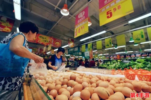 在破碎之地构建高效传送系统的创新策略与实现路径探索 在破碎之地构建高效传送系统的创新策略与实现路径探索