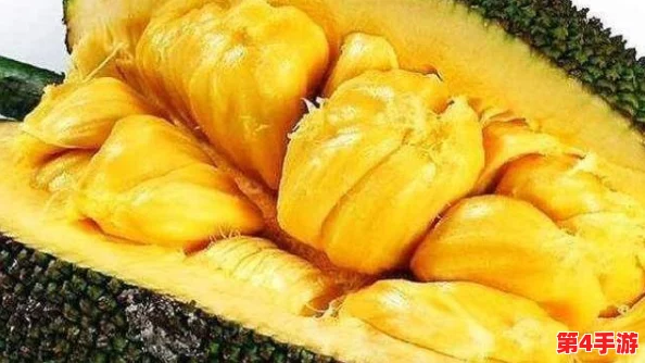 用户评价：菠萝蜜视频在线观看带来了全新的视听体验，内容丰富，深受大家喜爱！