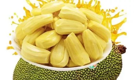 用户评价：菠萝蜜视频在线观看带来了全新的视听体验，内容丰富，深受大家喜爱！