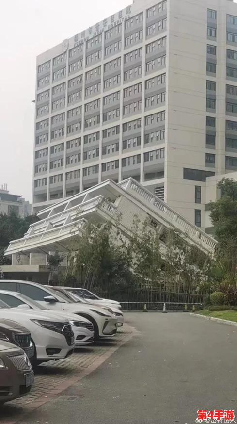 病勤楼栋1-12：探寻医院背后的故事和奇迹