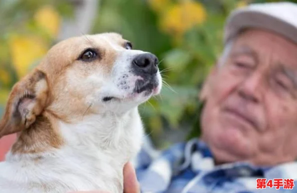 人狗胶配方大全高清1080p：许多用户称赞其效果显著，值得一试，使用体验良好！