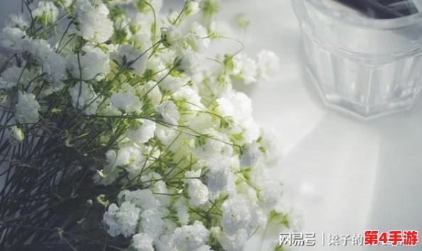 八尺夫人意大利 满天星:深入理解这幅作品背后的文化与情感表达 八尺夫人意大利 满天星:深入理解这幅作品背后的文化与情感表达