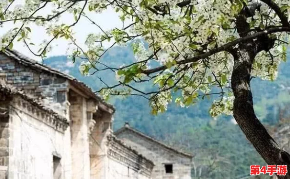 甘雨白水流淌了一地，那是神秘古村落的文化传承与自然奇观交汇的景象