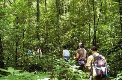 橡子屋的奇幻森林探险之旅:揭秘自然奥秘,勇闯未知绿意秘境 橡子屋的奇幻森林探险之旅:揭秘自然奥秘,勇闯未知绿意秘境