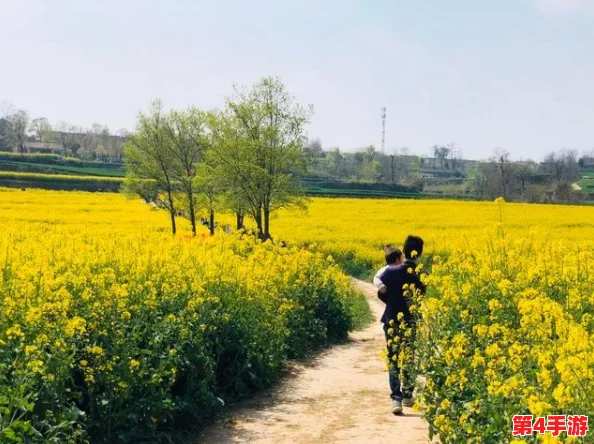 光遇之旅：深入暮土第五章，全方位攻略与玩法技巧揭秘
