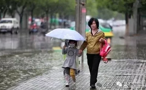 在雨中潮湿的雨中母亲的悄悄话，网友感慨：这样的情感真是细腻动人，让人想起了那些温暖的瞬间