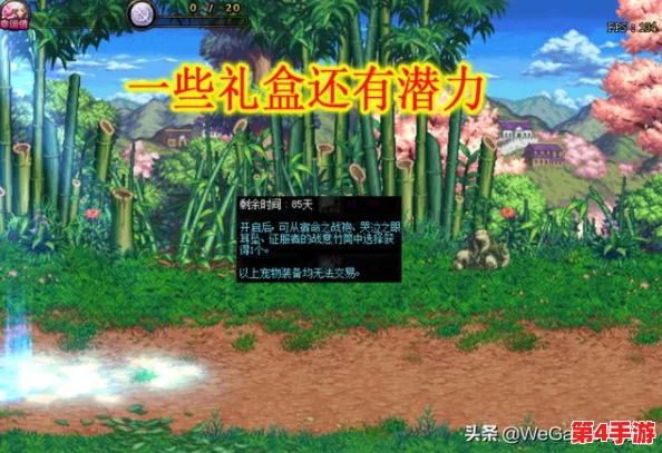DNF市场洞察：揭秘潜力装备，哪些稀有道具具备长期升值空间？