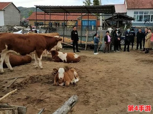 aby9映射画官方网站最新消息:了解最新动态与更新,掌握更多关于aby9映射画的精彩内容和活动信息 aby9映射画官方网站最新消息:了解最新动态与更新,掌握更多关于aby9映射画的精彩内容和活动信息