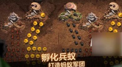 全面攻略:小小蚁国特化蚁升星路径与必需材料详解,助力策略布局再升级! 全面攻略:小小蚁国特化蚁升星路径与必需材料详解,助力策略布局再升级!