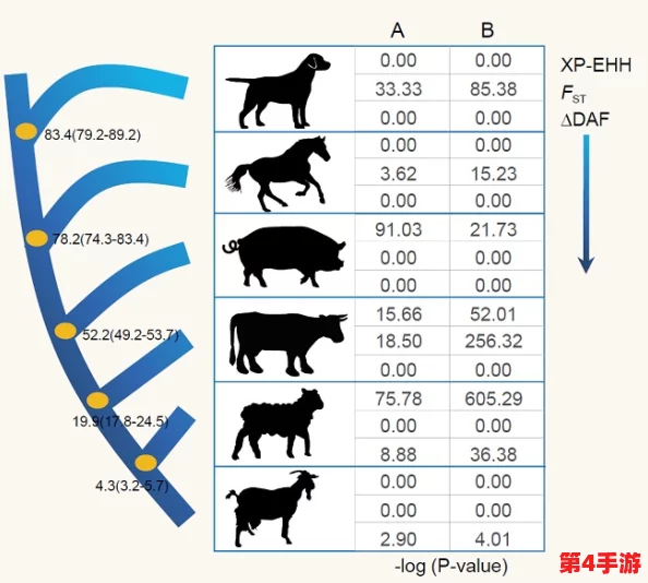 人马畜禽共性关系的重要性：促进生态平衡与可持续发展的关键因素分析