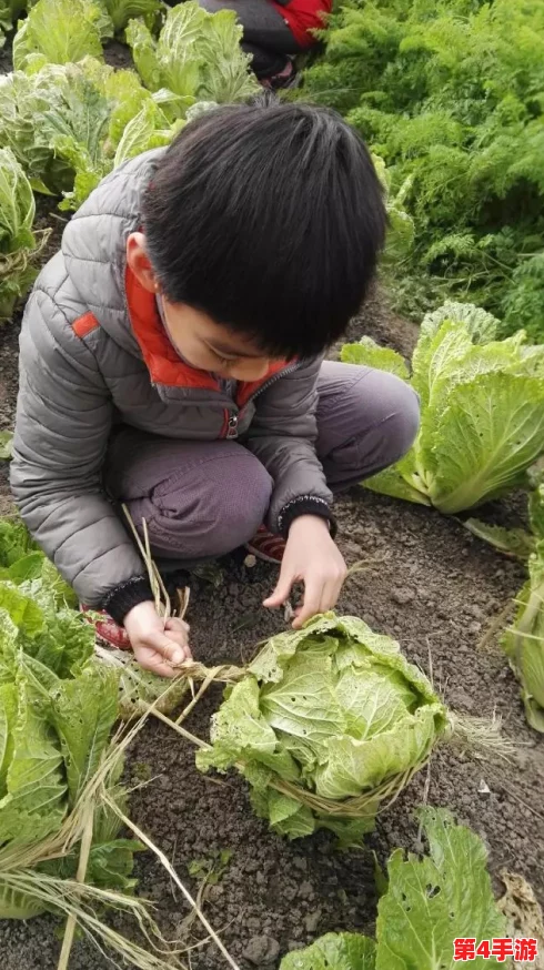 一小孩和妈妈摘萝卜不盖被子黄，网友热议：这才是真正的亲子时光与自然教育！
