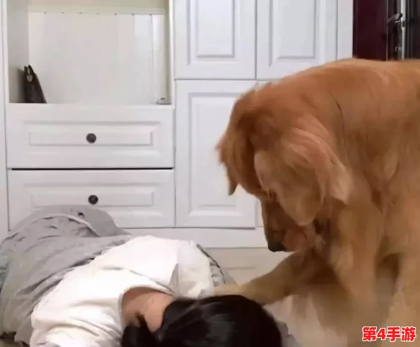 男生把困困放到女生困困，这个行为反映了两性之间的互动与情感交流，值得我们深入思考和讨论