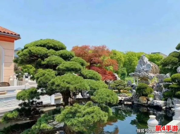 麻花传沈娜娜：用户评价揭示其独特魅力与深刻内涵，值得一看！