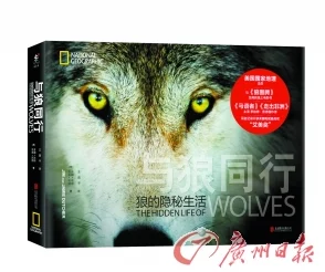 《与狼同行2》开发疑云笼罩：内部困境曝光，项目未来岌岌可危或面临取消风险