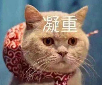 错一题下面查一支笔啊哈，用户评价：这款笔书写流畅，颜色鲜艳，非常满意！