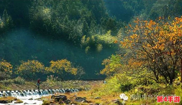 东南亚仙林棕林之美:奇幻自然的绝佳旅行体验与迷人风光 东南亚仙林棕林之美:奇幻自然的绝佳旅行体验与迷人风光