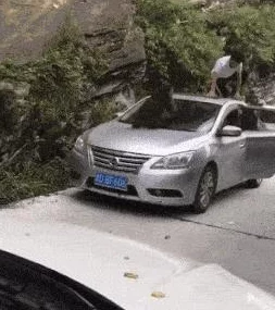 地铁奇遇：揭秘逃脱猴子的神秘装扮，是哪款服装助它一臂之力？