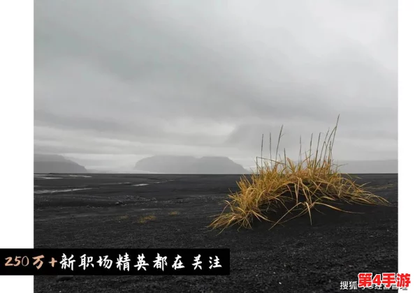 黑土怀孕模拟器：感受生命奇迹与自然的和谐之旅，体验每一个动人的瞬间与新生的期待