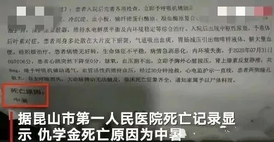高校长白老师第三章心得体会：深刻见解与启发，值得每位学子认真阅读和思考