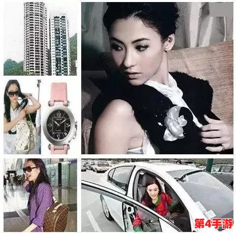 张柏芝与XXXX的深度理解：从个人经历到艺术表达的全景分析