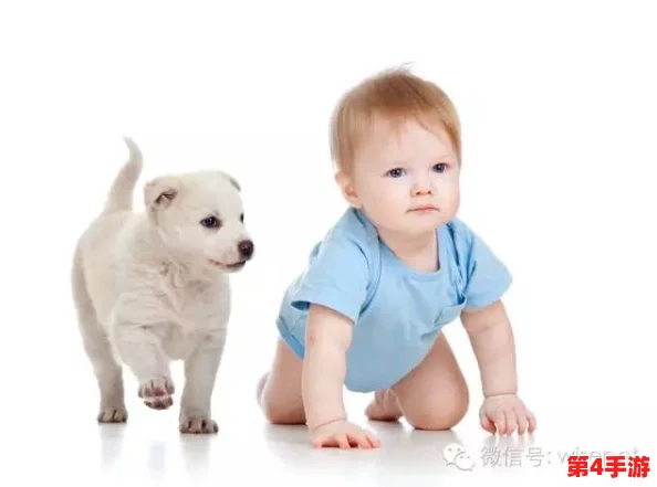 刚入睡时感受到巨大东西在移动,似乎是狗引发的奇妙梦境体验 刚入睡时感受到巨大东西在移动,似乎是狗引发的奇妙梦境体验