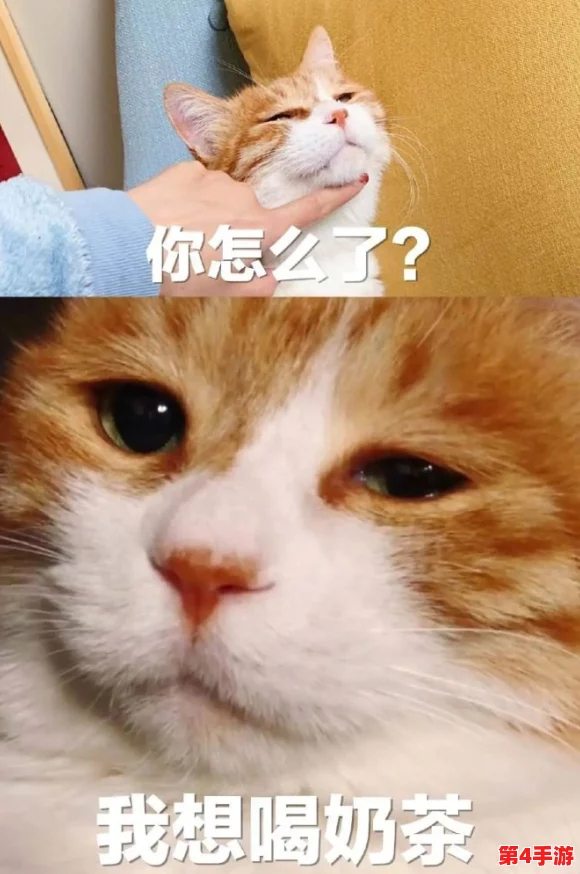 糖心网红柚子猫甘雨：网友称其可爱至极，萌化人心的绝佳选择！
