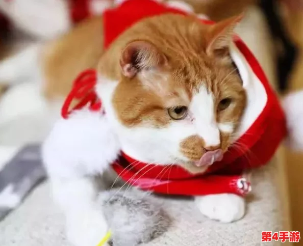 糖心网红柚子猫甘雨：网友称其可爱至极，萌化人心的绝佳选择！