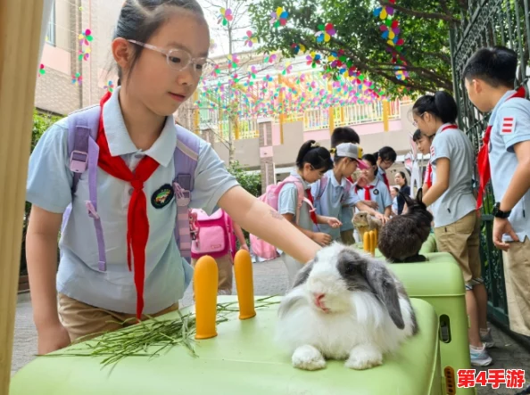 老师的小兔子真好听，近日学校举办了动物主题活动，吸引了众多学生参与，共同感受自然的魅力